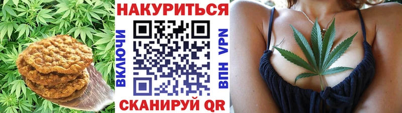 Canna-Cookies конопля  hydra маркетплейс  Новотроицк 