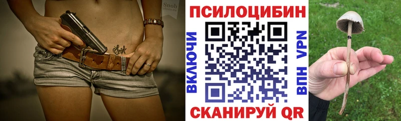 маркетплейс телеграм  Новотроицк  Галлюциногенные грибы MAGIC MUSHROOMS 