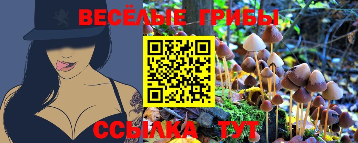 Галлюциногенные грибы Cubensis Новотроицк